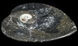 Heart Shaped Fossil Goniatite Dish #61258-1